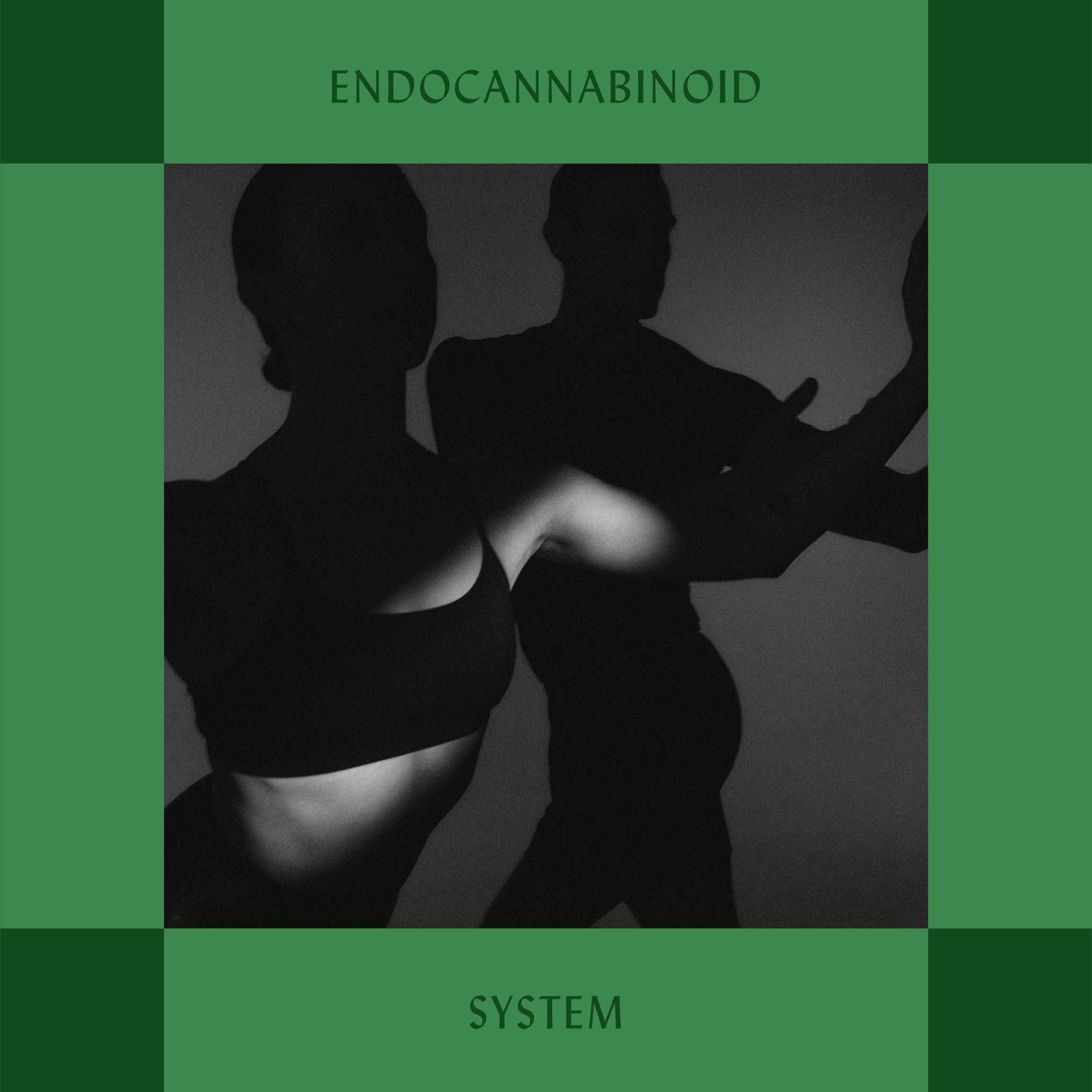 Endocannabinoid System